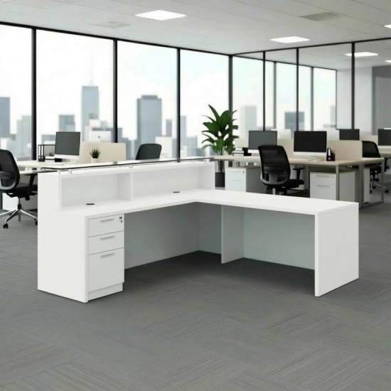 RECEPCIÓN ASPEN