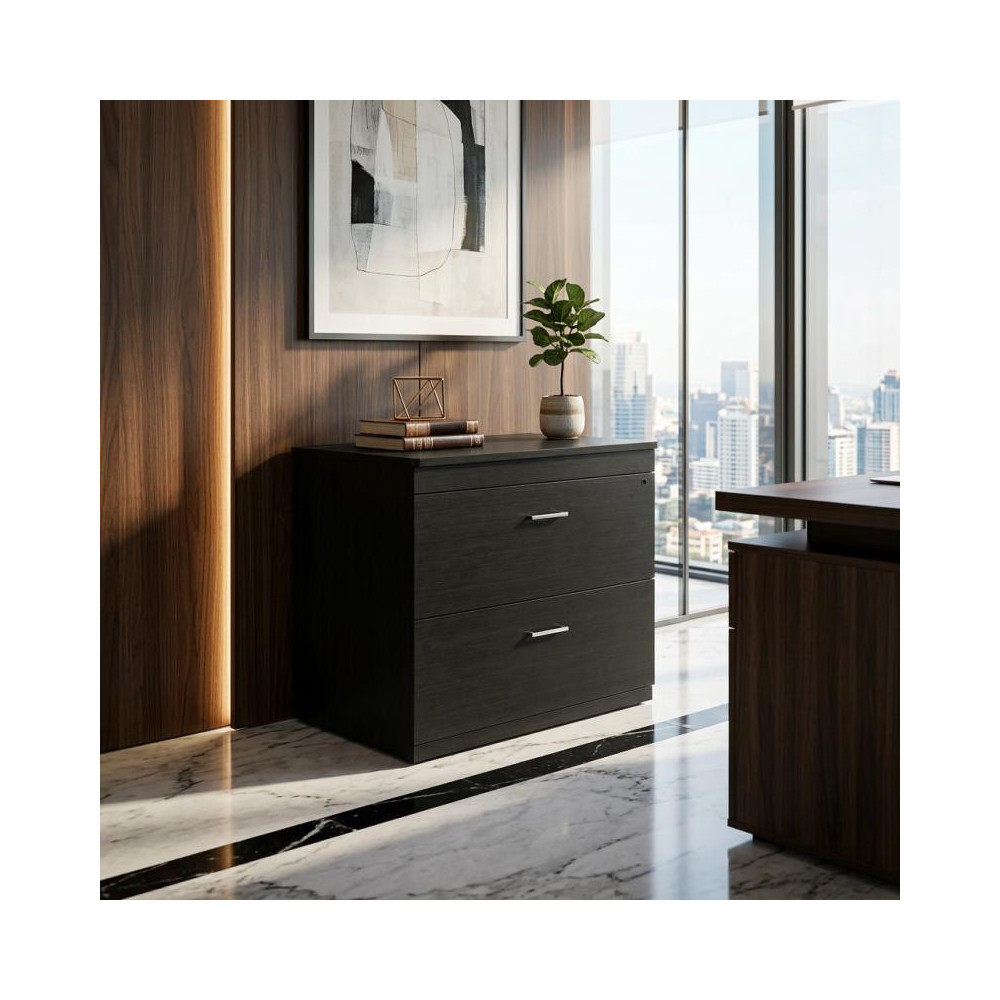 Archivero Horizontal Ejecutivo de 2 Gavetas para Oficina