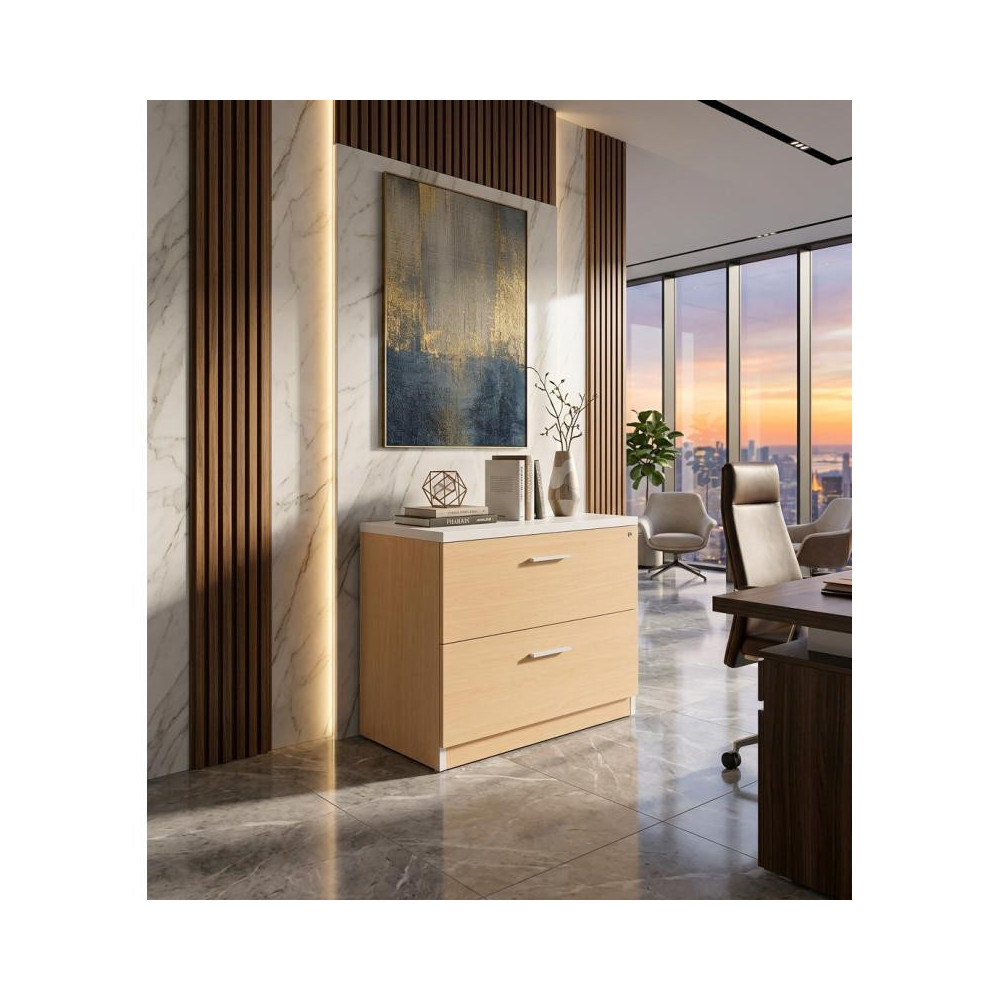 Archivero Ejecutivo Elite File 2 | Archivero Horizontal para Oficina con 2 Gavetas y Cerradura