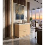 Archivero Ejecutivo Elite File 2 | Archivero Horizontal para Oficina con 2 Gavetas y Cerradura