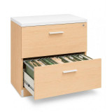 Archivero Ejecutivo Elite File 2 | Archivero Horizontal para Oficina con 2 Gavetas y Cerradura